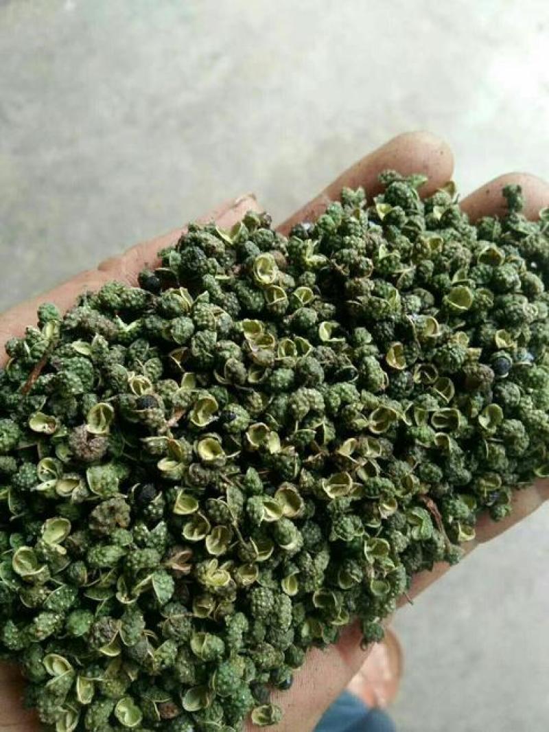 贵州毕节威宁九叶青花椒