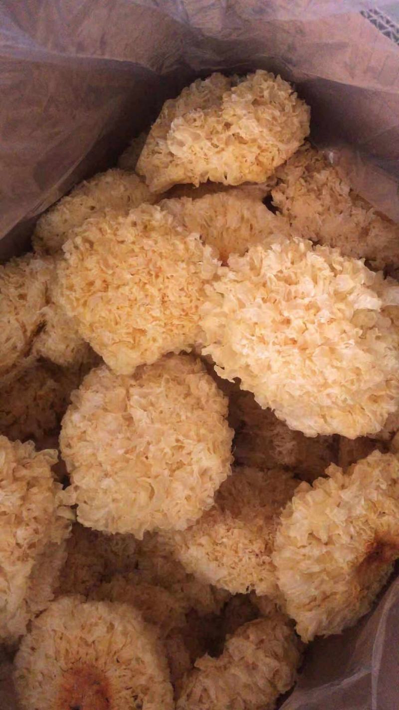 古田银耳厂家直供，朵大货好无硫均匀无夹心，量大从优