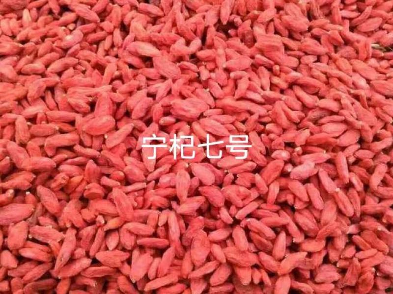 红枸杞干果礼盒装，小尖椒，宁杞七号，自然晒干，无硫磺熏制