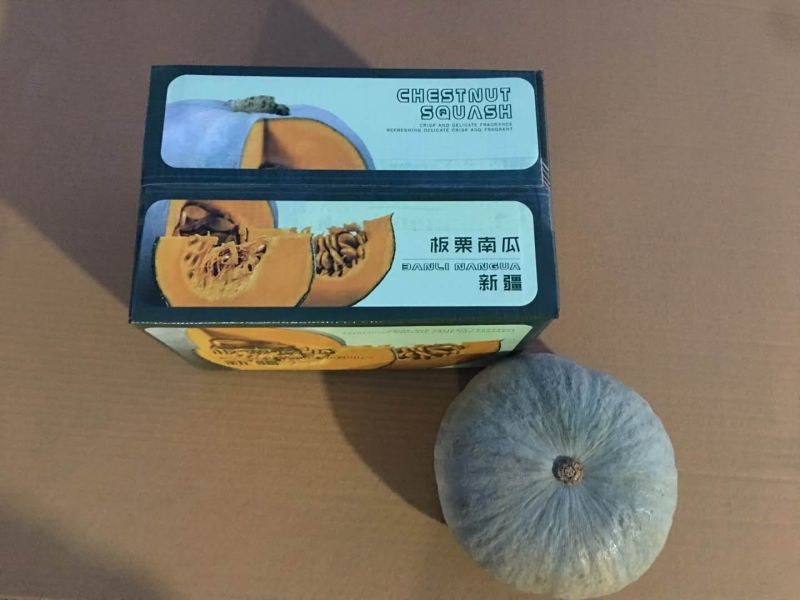 新疆板栗南瓜，一件代发包邮，口感粉糯香甜，非常好