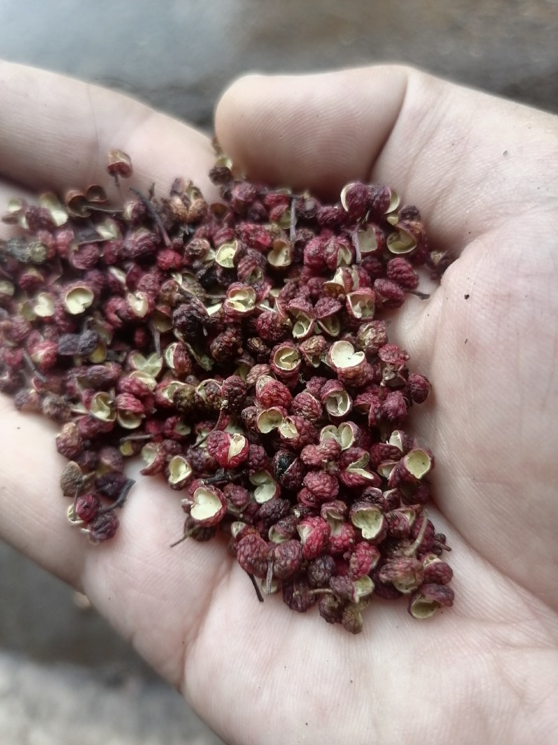 花椒红花椒小籽花椒一级