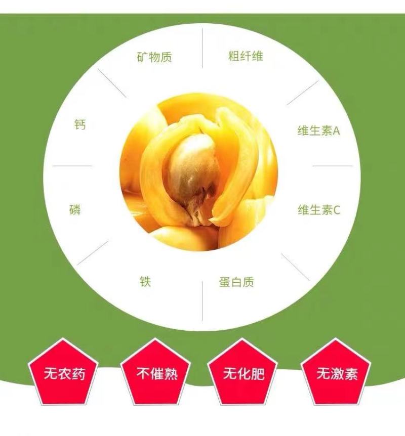 马来西亚一号菠萝苗50一80CM嫁接苗中杯发货，四季结果