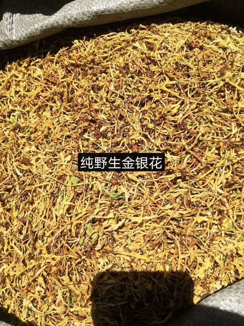 金银花云南纯绿色植物，药效好