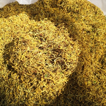 金银花云南纯绿色植物，药效好