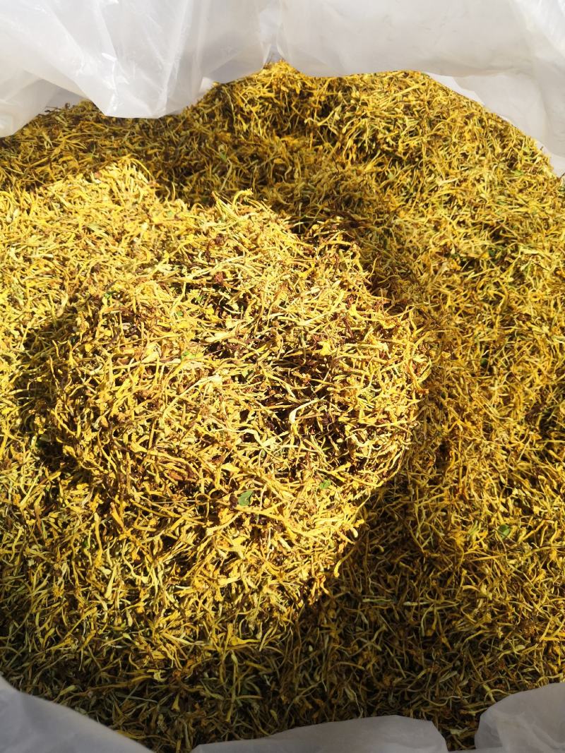 金银花云南纯绿色植物，药效好