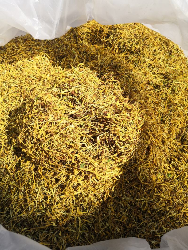 金银花云南纯绿色植物，药效好