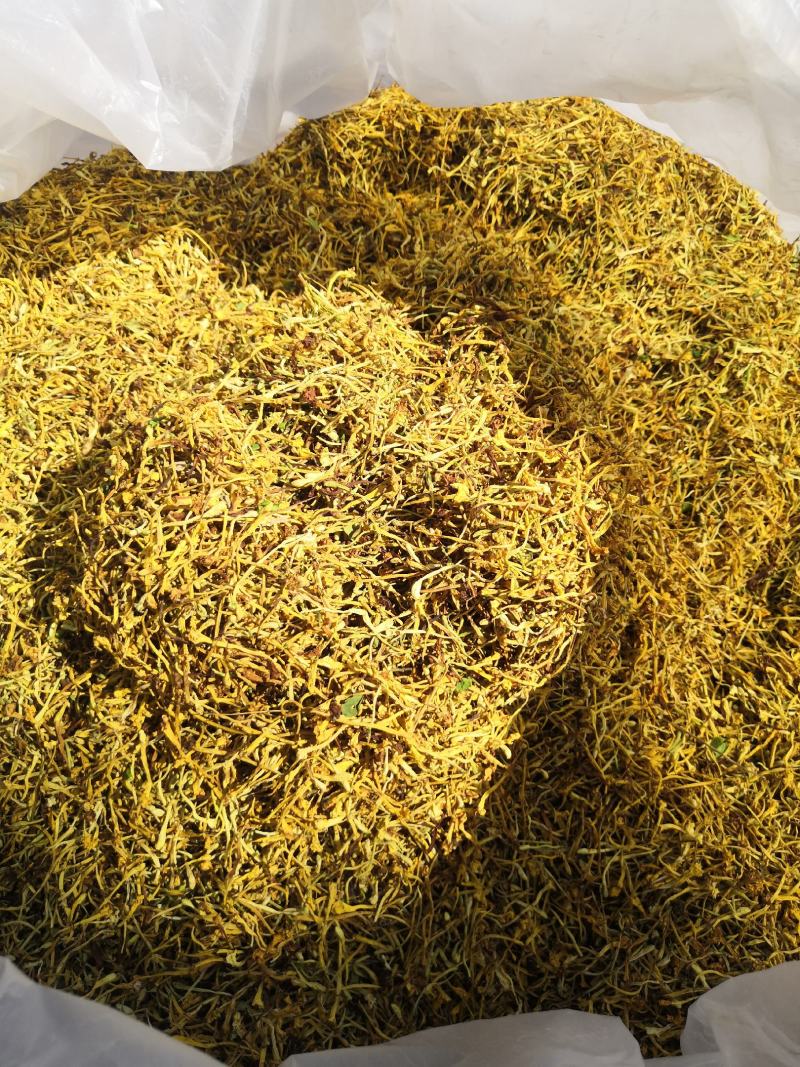 金银花云南纯绿色植物，药效好