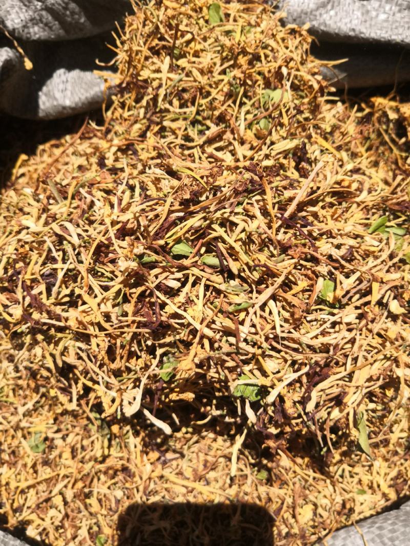 金银花云南纯绿色植物，药效好