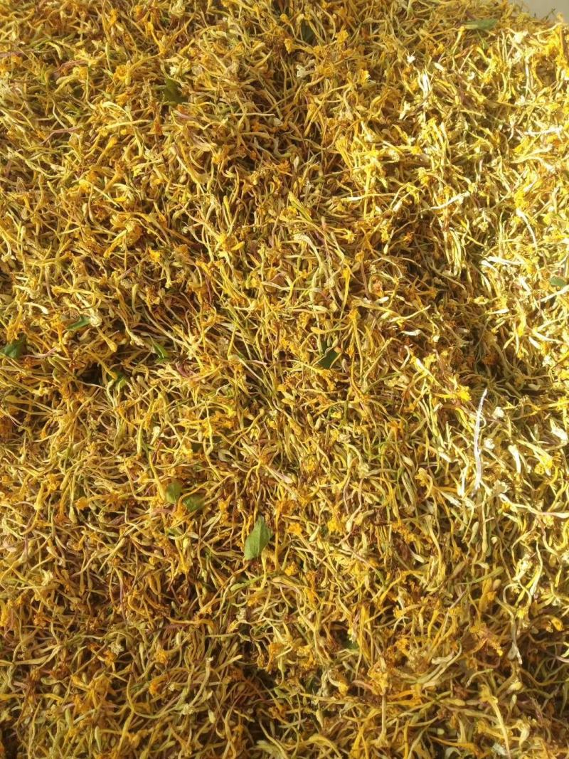 金银花云南纯绿色植物，药效好