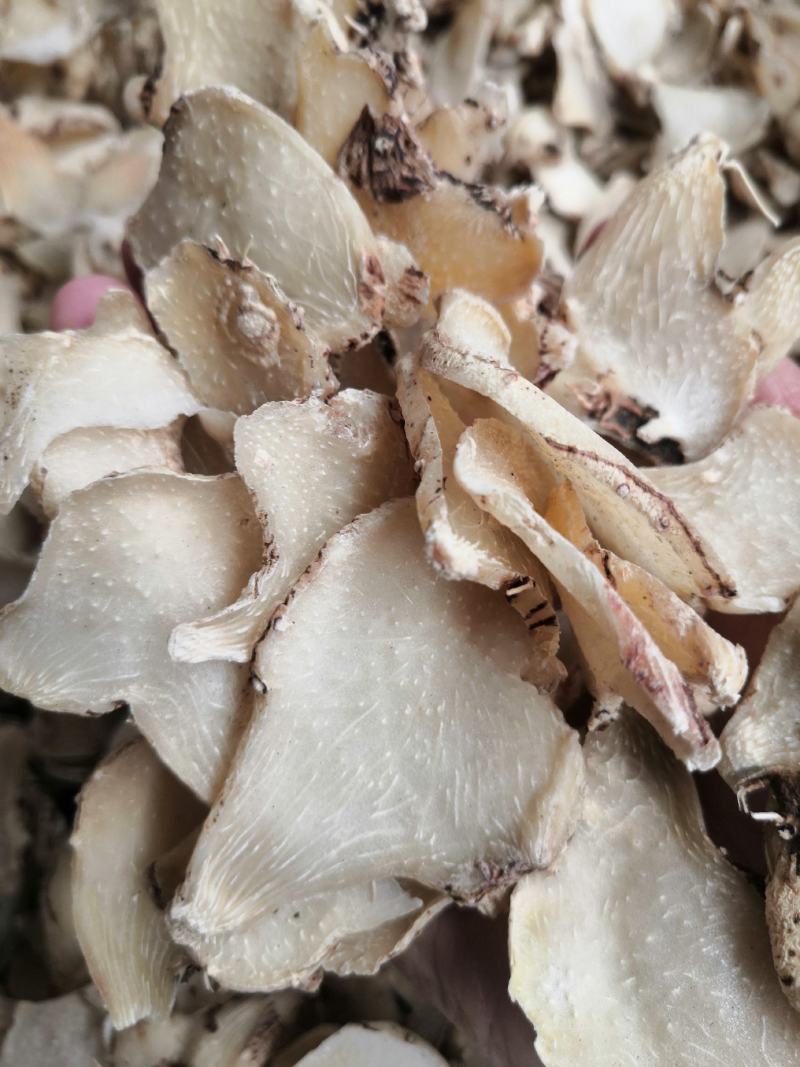 白芨片(切片三叉白艿，货白)片子大，颜色好