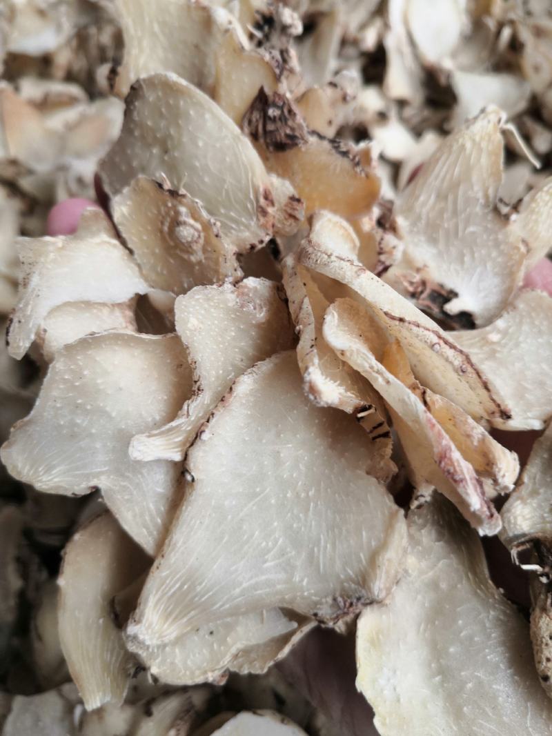 白芨片(切片三叉白艿，货白)片子大，颜色好