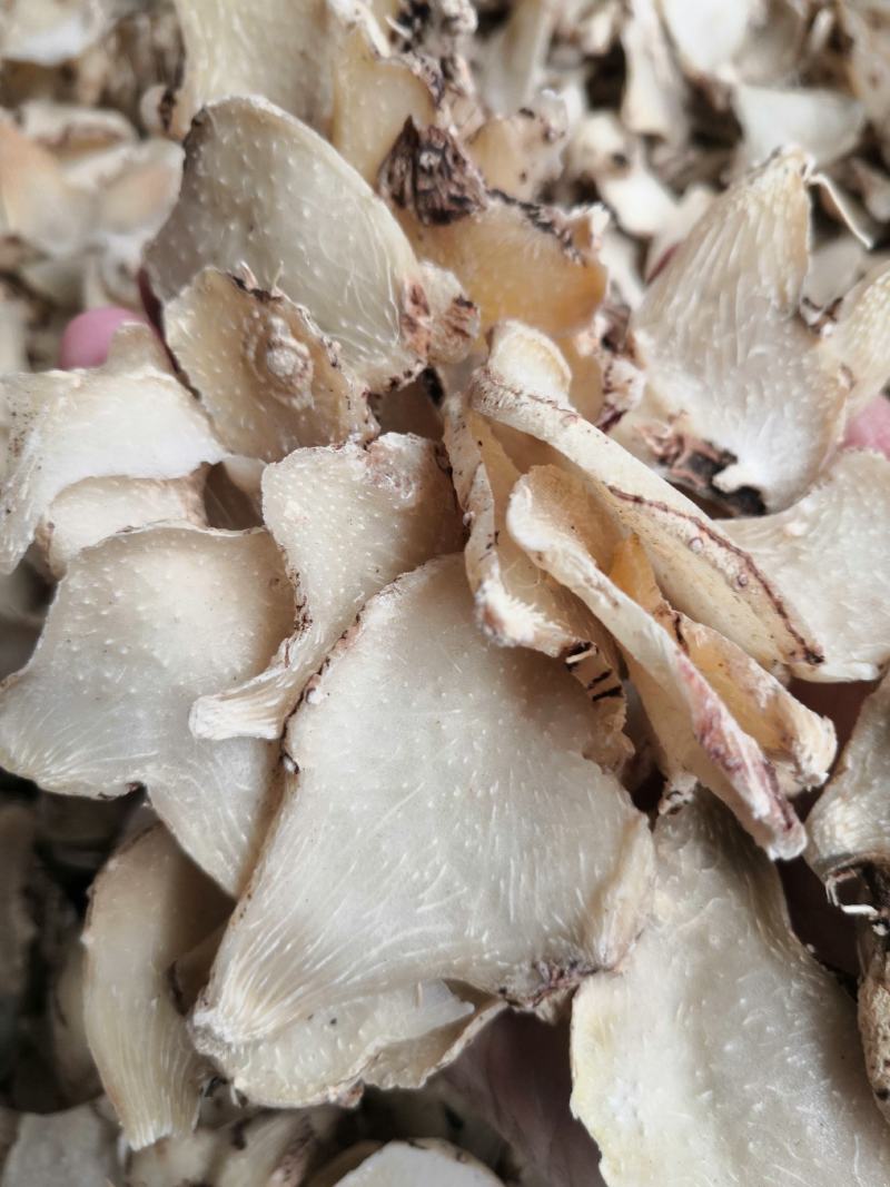 白芨片(切片三叉白艿，货白)片子大，颜色好