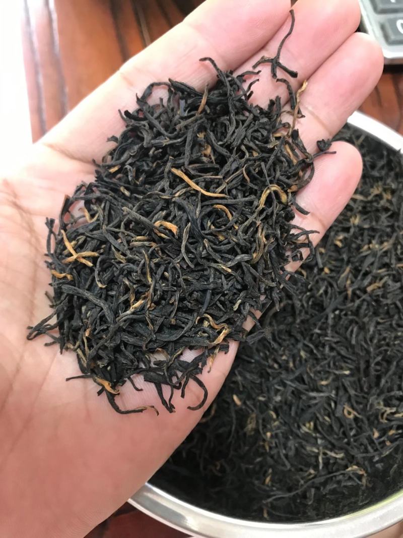 金骏眉红茶批发特级蜜香黄芽金俊眉散装茶叶金峻眉