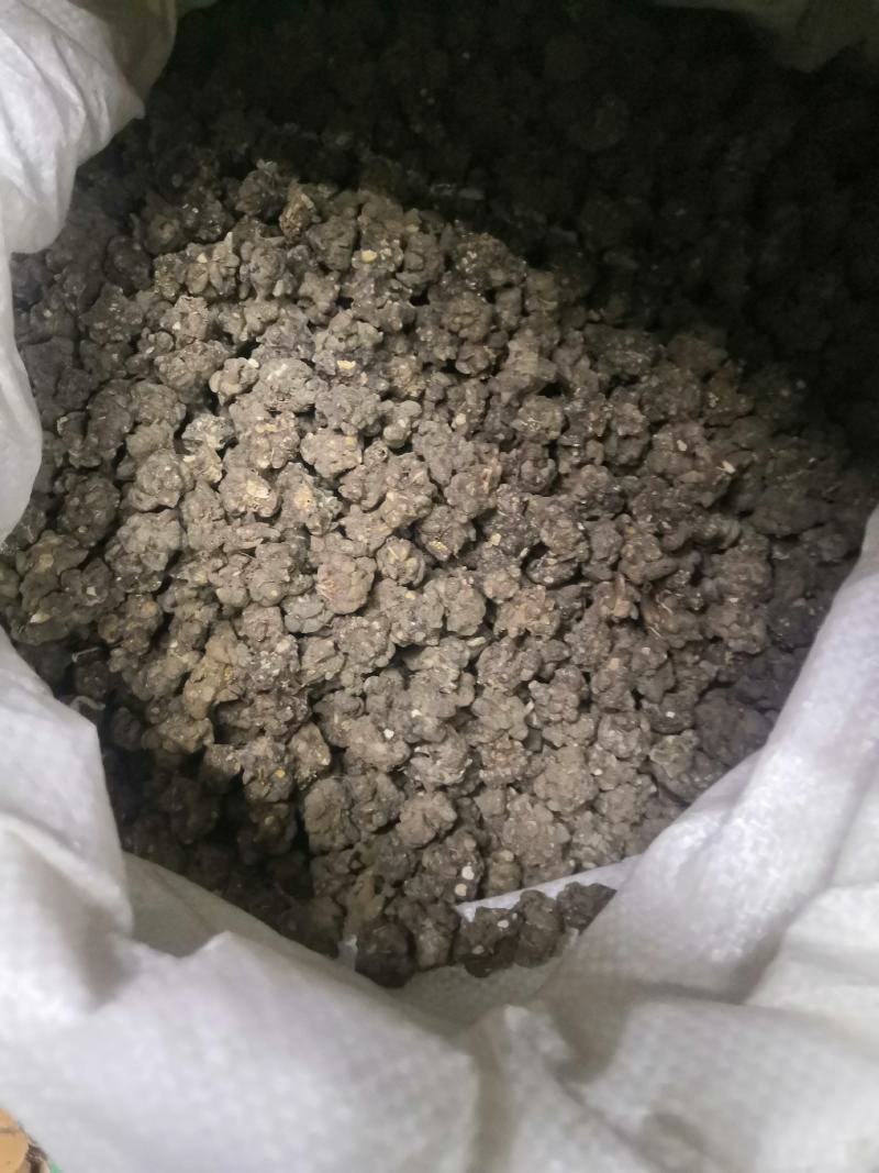 猫爪草产地直销，药效好