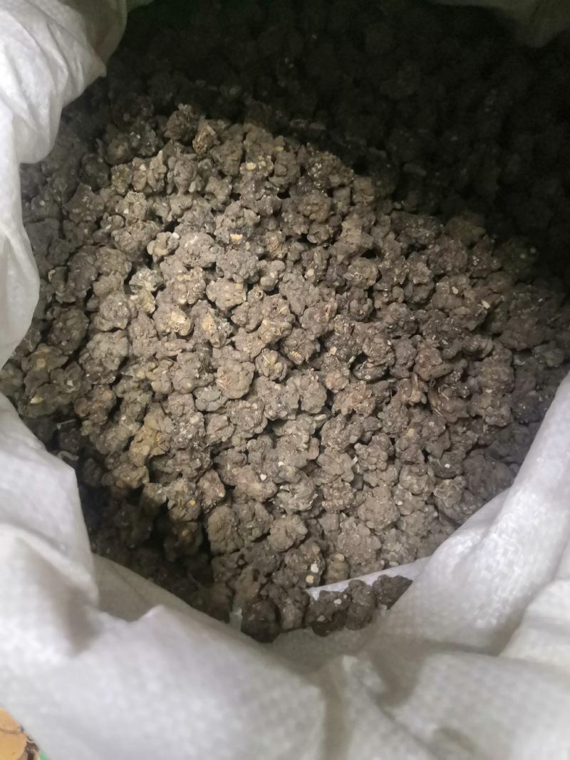 猫爪草产地直销，药效好