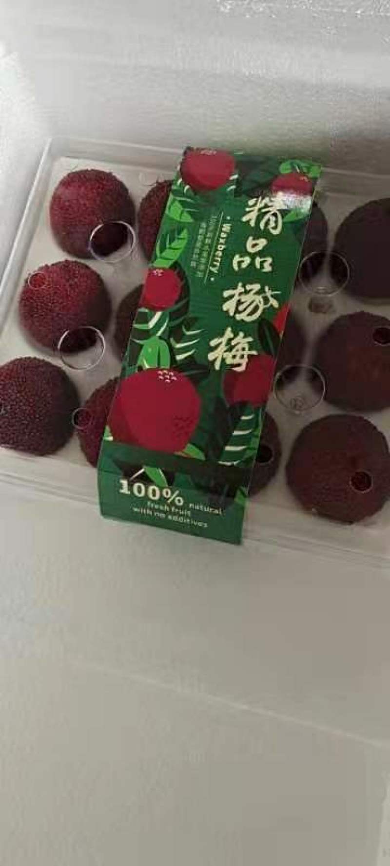 福建杨梅种苗：中熟杨梅苗、大黑炭、硬丝杨梅苗（杯苗）
