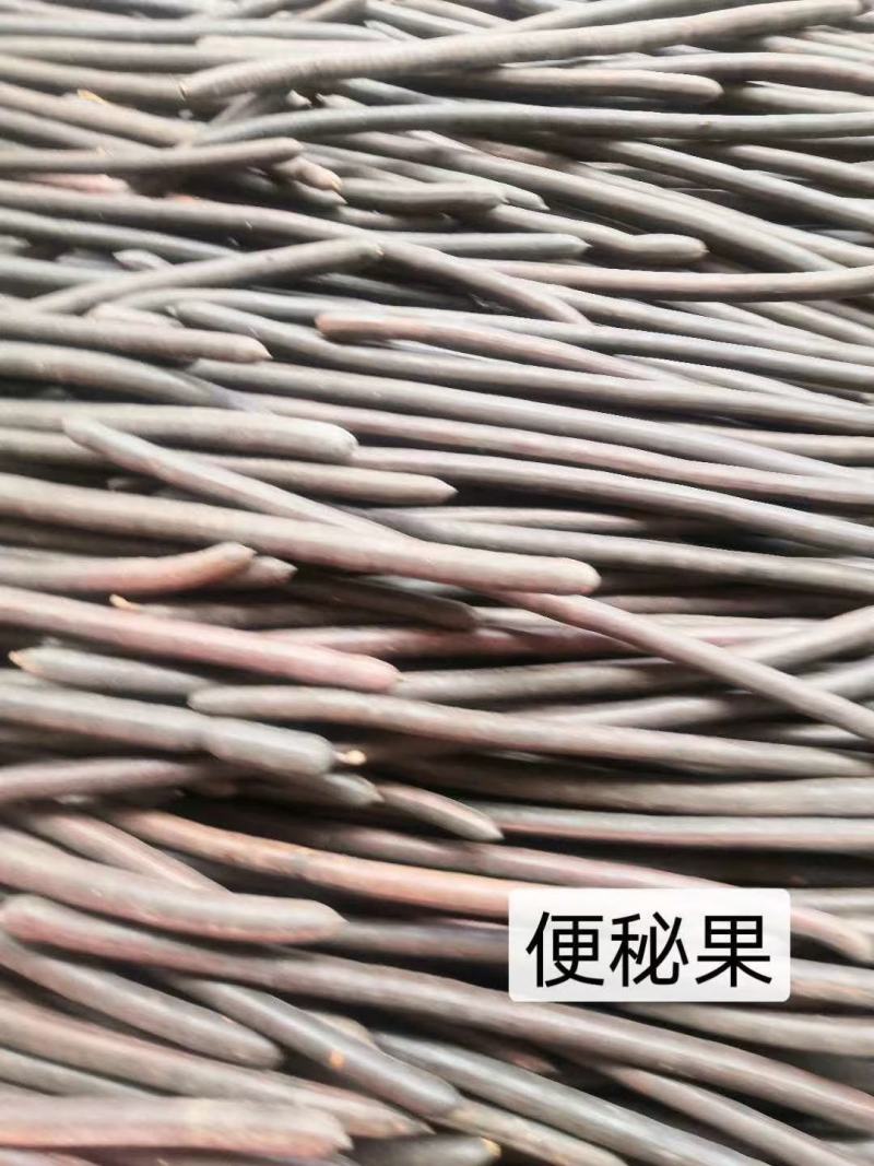 便秘果产地直销，果胶好