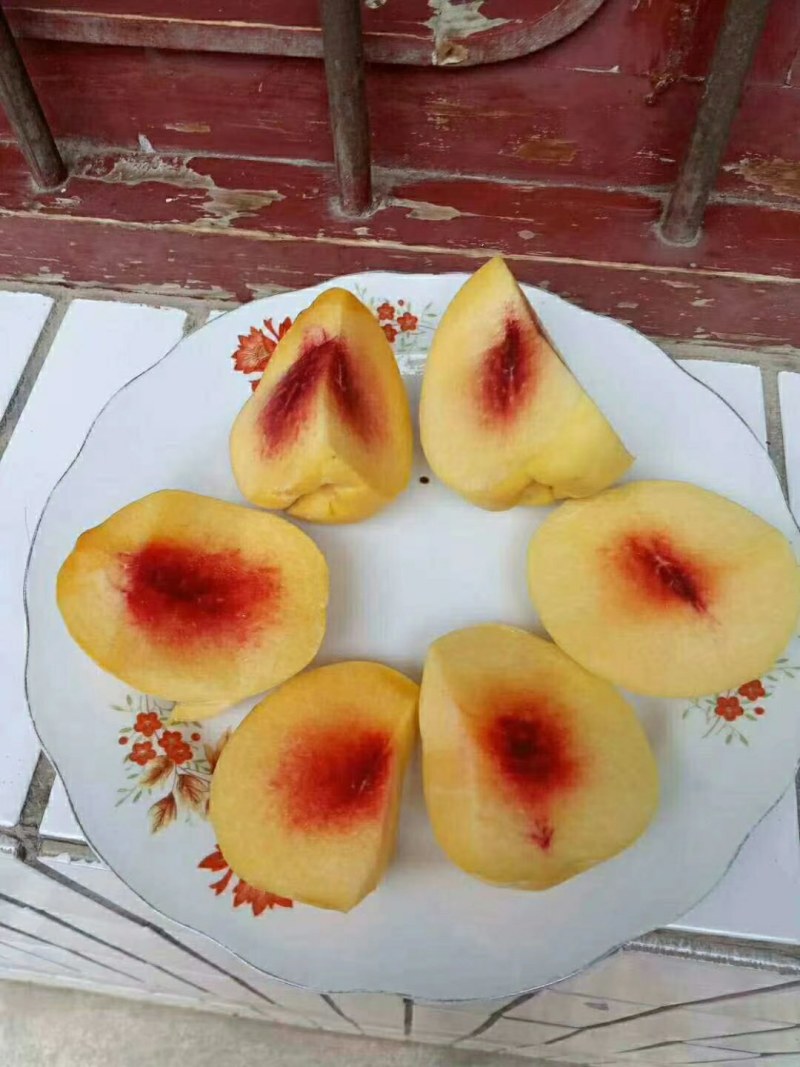 锦绣黄桃