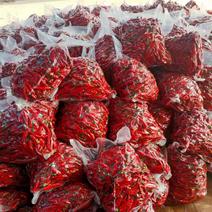 多品种红泡椒大量现货，品种多质量好，欢迎各地客商考察采购