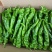 螺丝椒辣椒，青椒，新辣椒