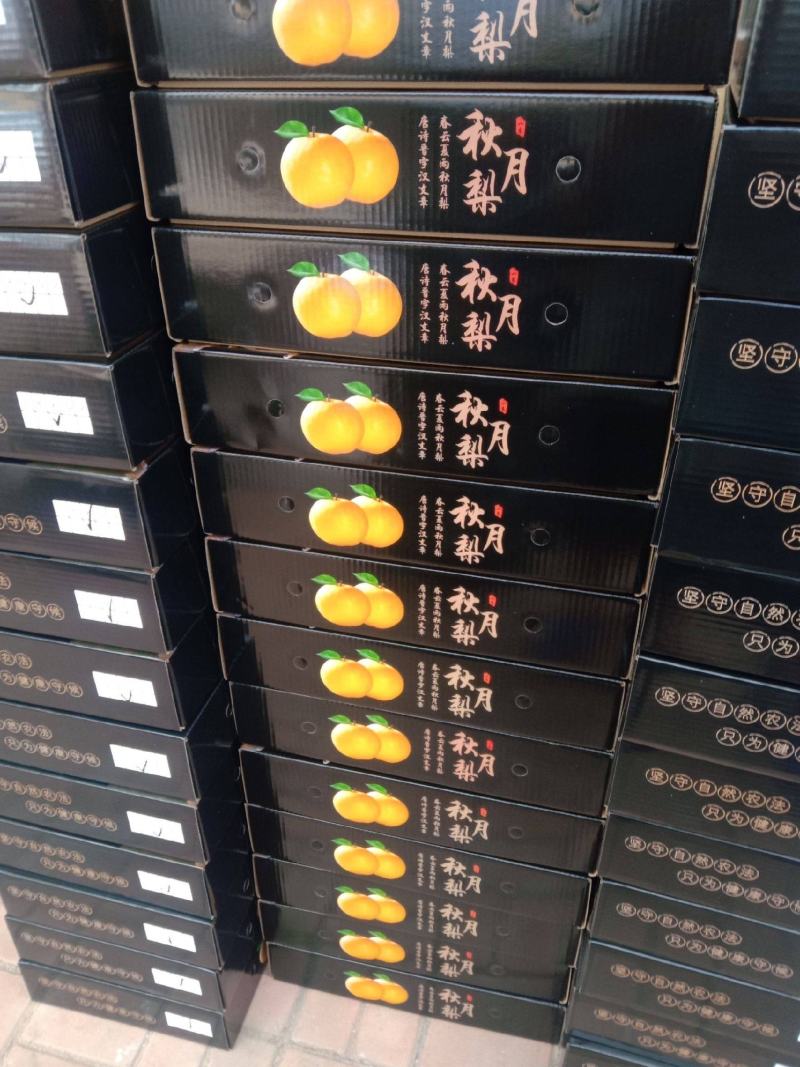 秋月梨大量秋月梨产区脆甜多汁欢迎客户前来收购