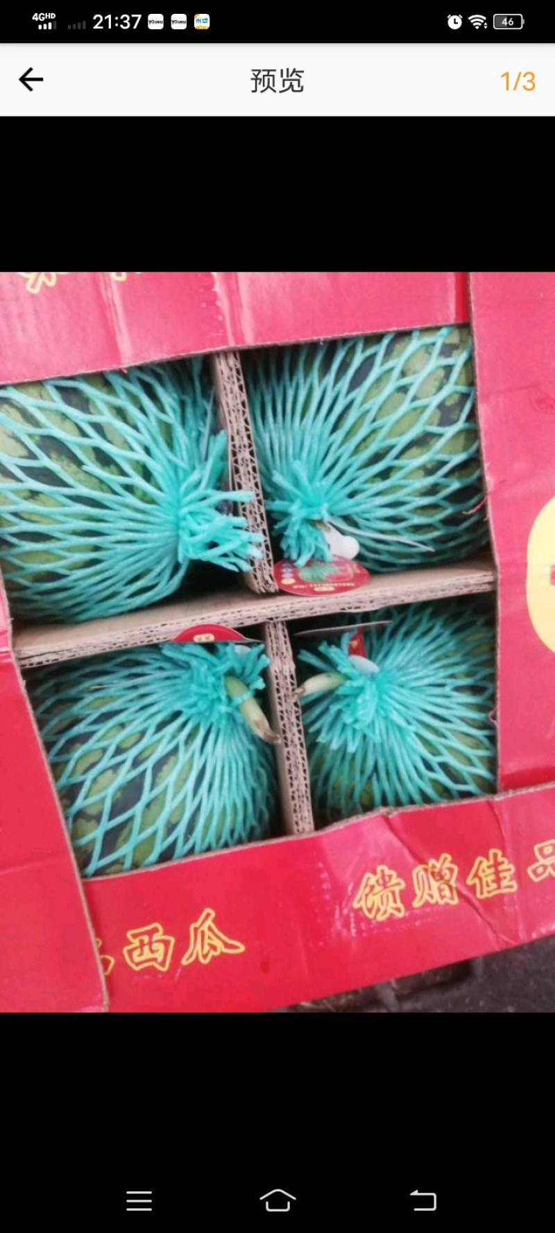 施甸龙标公司宁夏美都，麒麟，西瓜