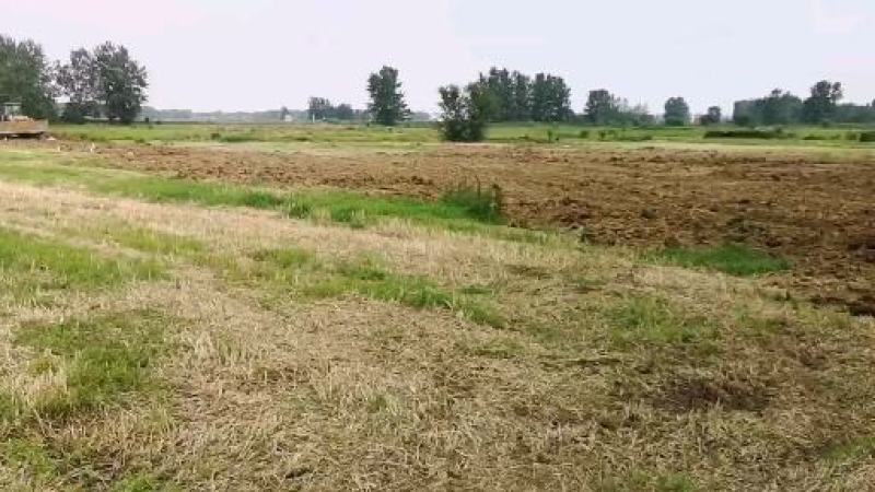 600亩养牛场用地140亩可以建养殖棚，460亩种牧草