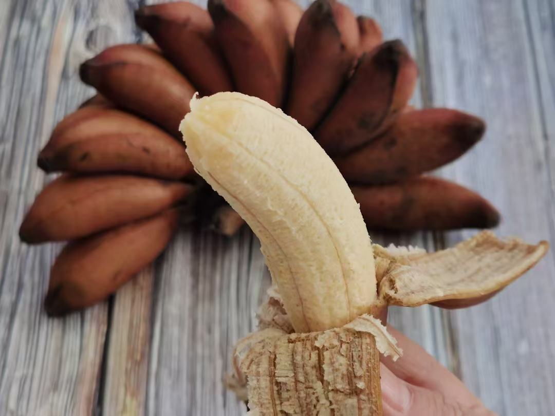 香蕉果皮颜色对比图