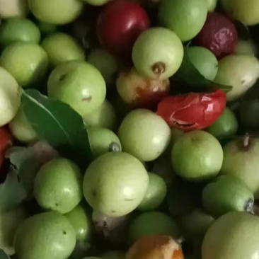 好货