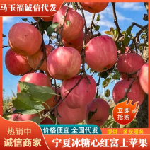 宁夏苹果冰糖心红富士苹果诚信实力代办低价代发全国
