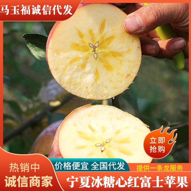 宁夏苹果冰糖心丑苹果富士苹果甜脆可口产地直销对接微商电商
