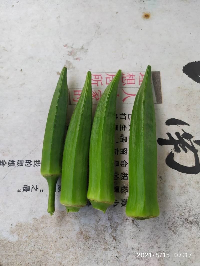黄秋葵