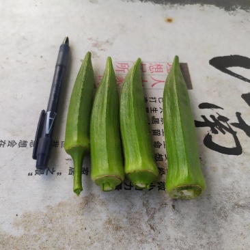 黄秋葵