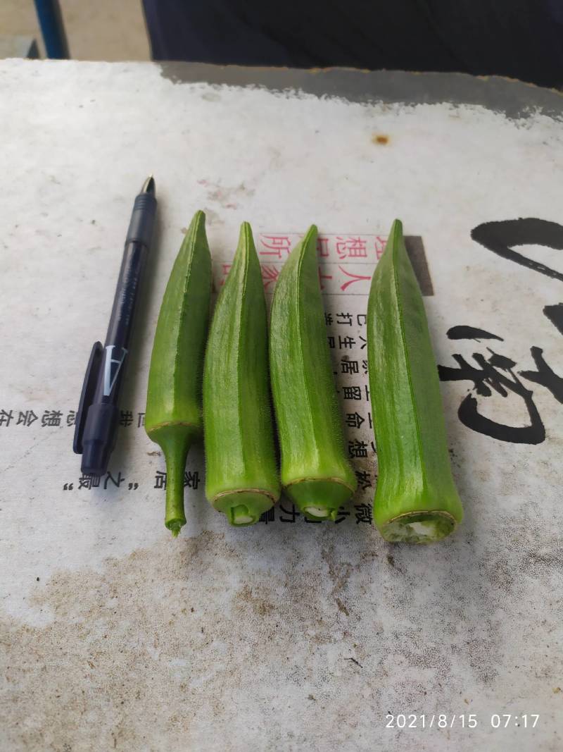 黄秋葵