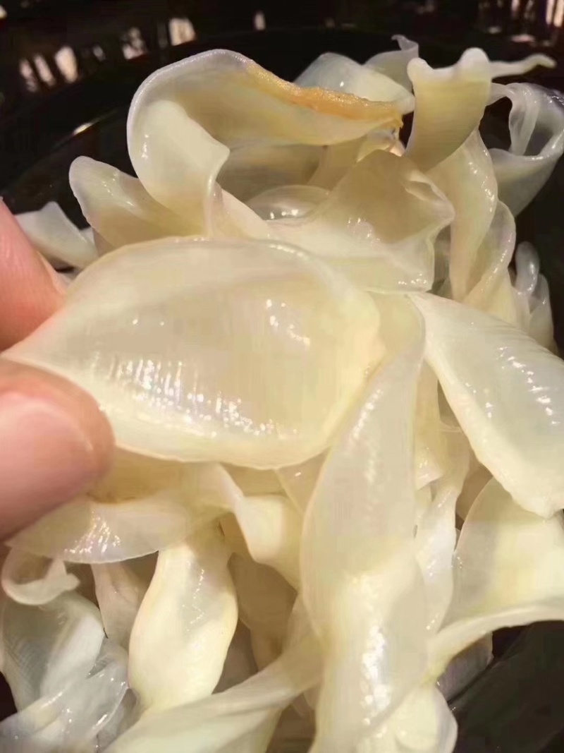 竹叶胶红鱼胶小米胶花胶干货鸡蛋胶酒店火锅店煲汤食材