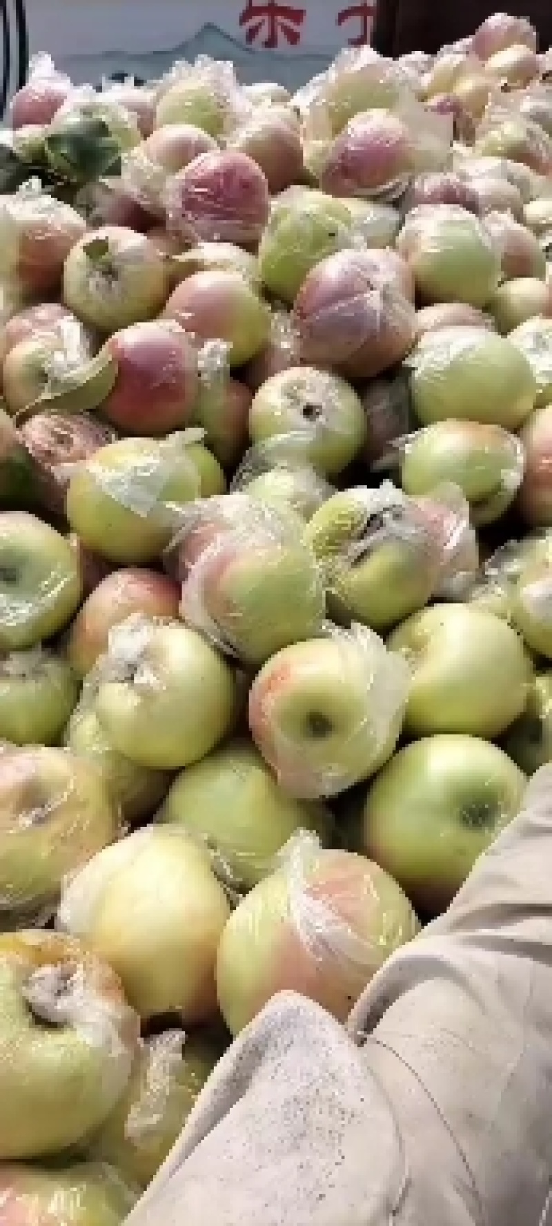 山东优质冰糖心红露苹果种植基地产地批发量大从优