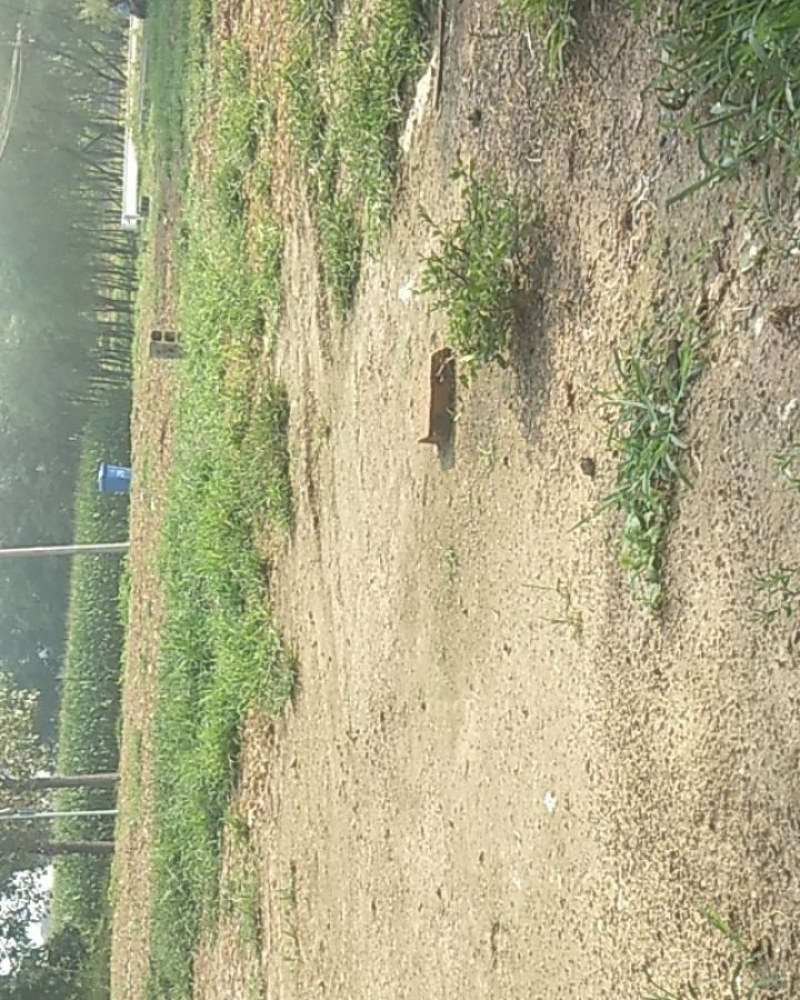 求租，租地