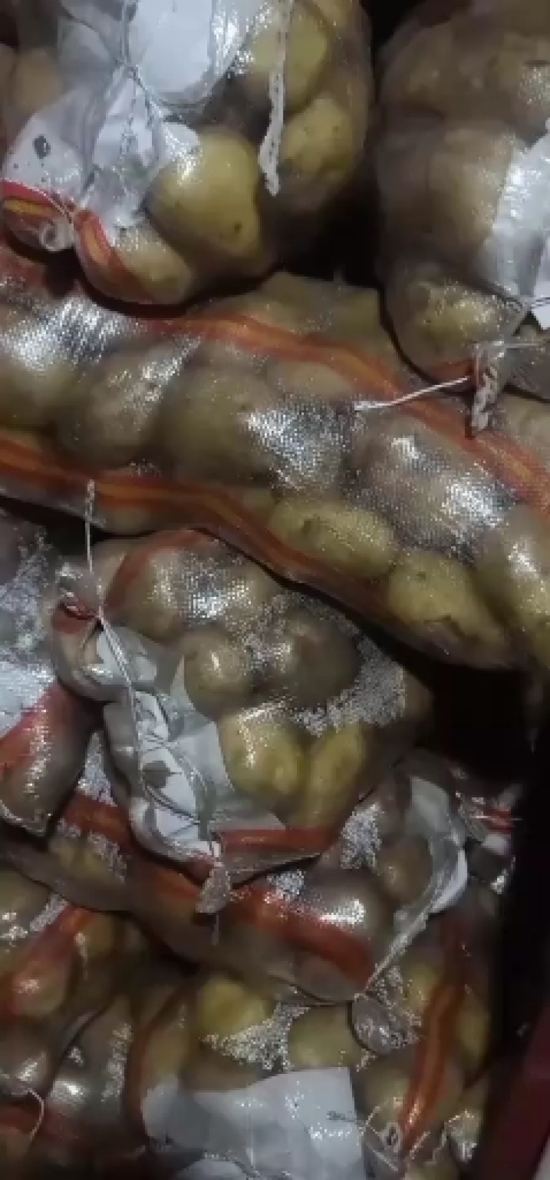 山东冷库土豆大量供应箱装袋装全国发货