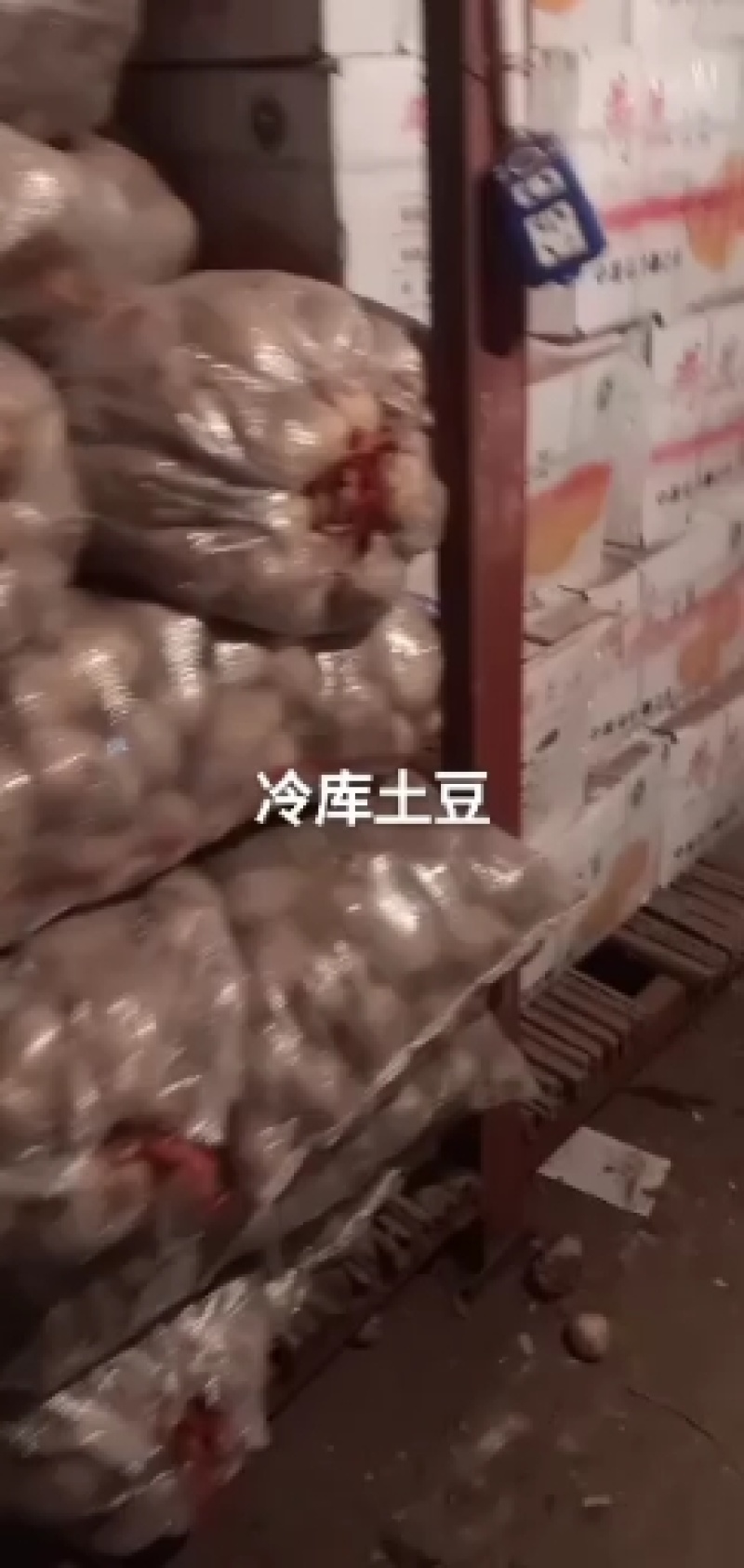 山东冷库土豆大量供应箱装袋装全国发货