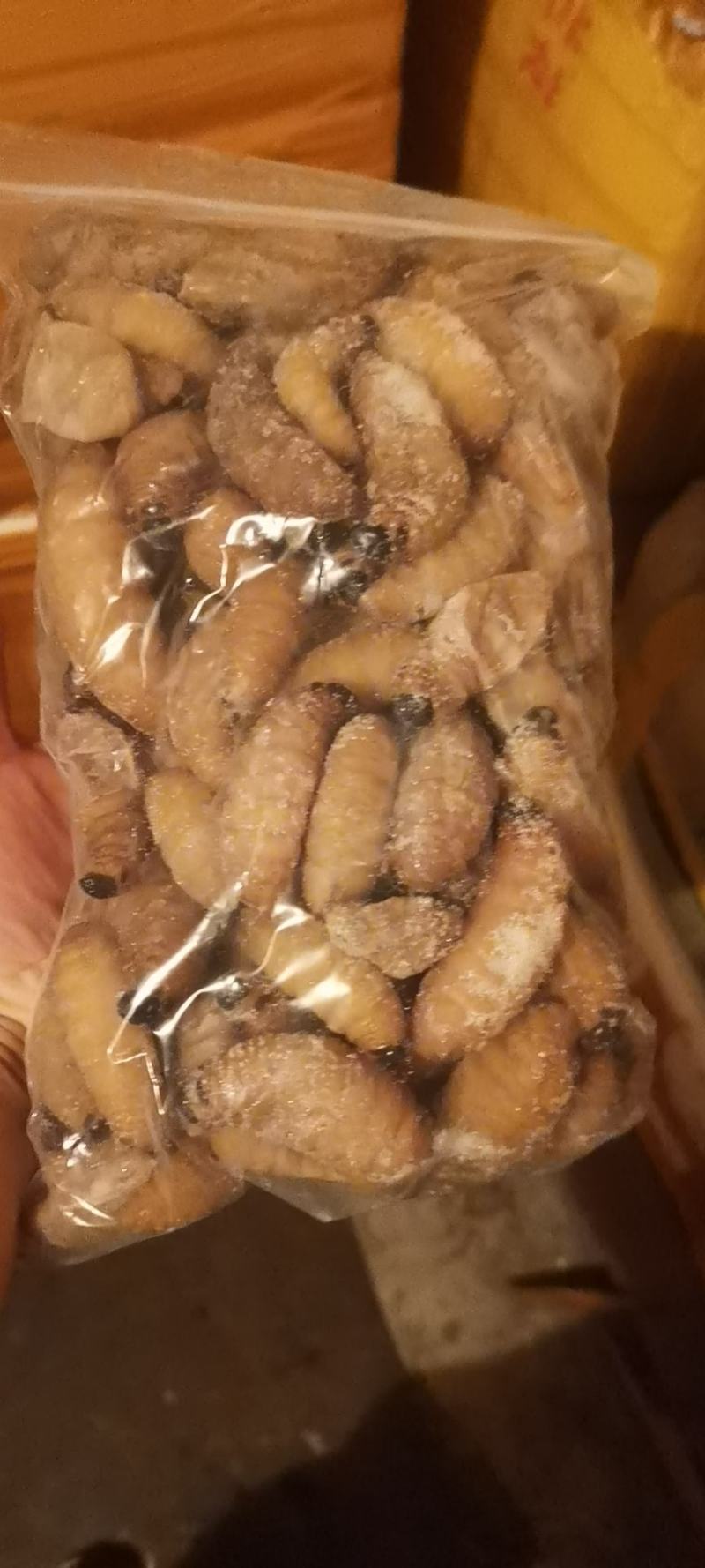 竹笋虫
