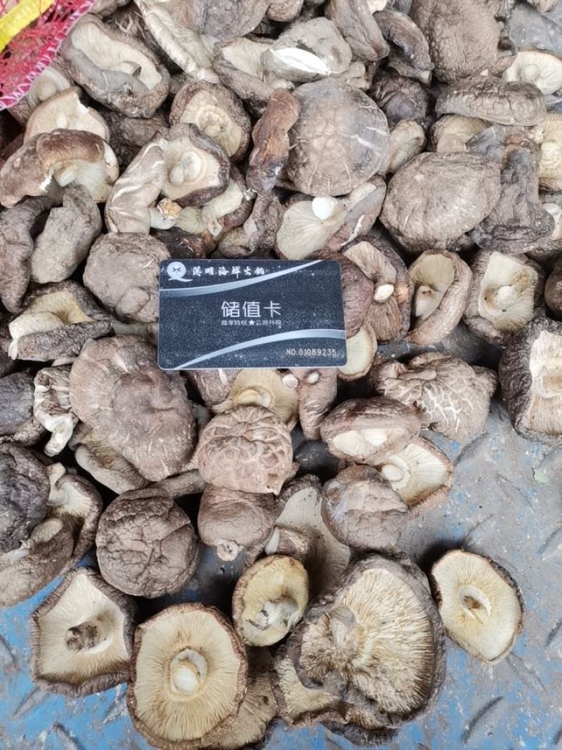 干香菇808