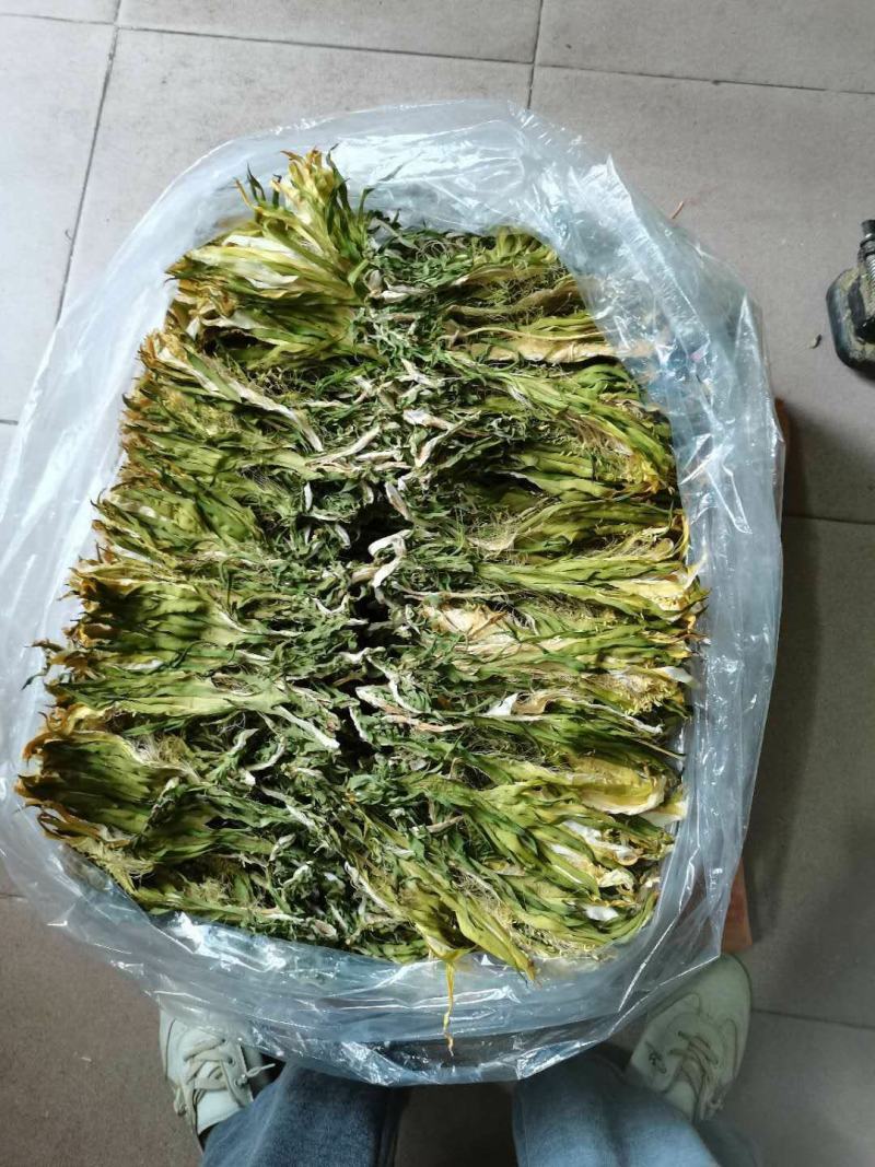 霸王花