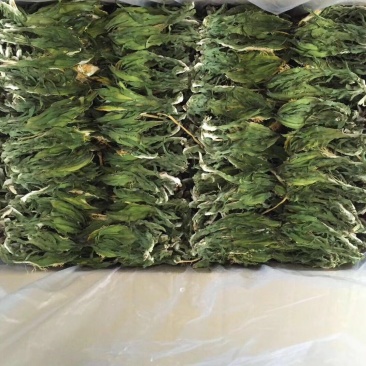 霸王花
