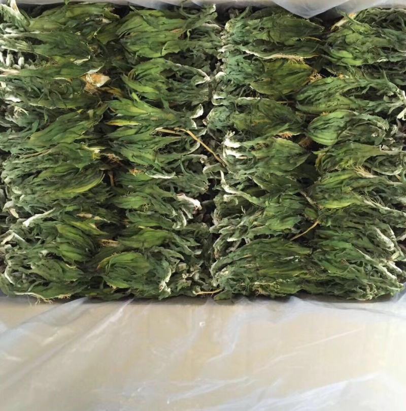 霸王花