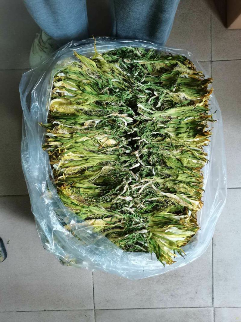 霸王花