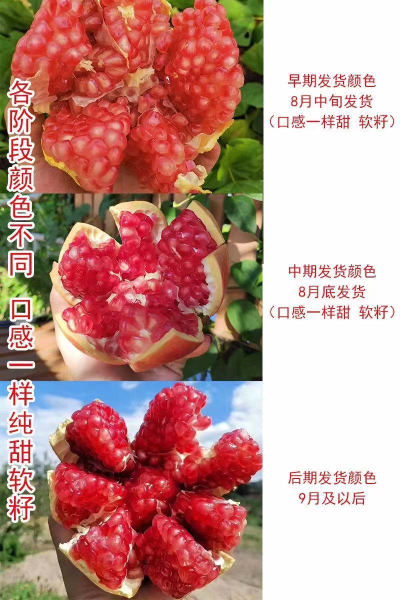 突尼斯软籽石榴老少皆宜中秋佳品一件代发