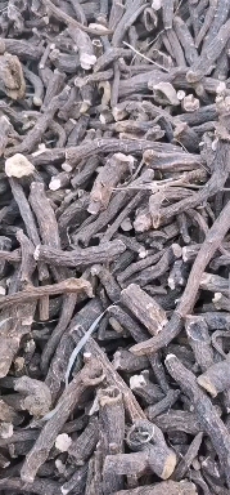 产地亳州前期标准开花芍水洗货