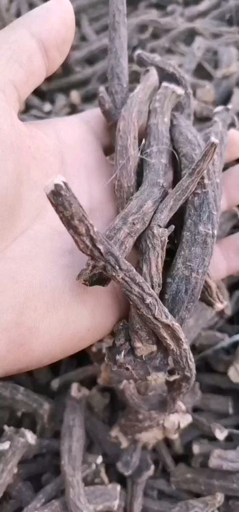 产地亳州前期标准开花芍水洗货
