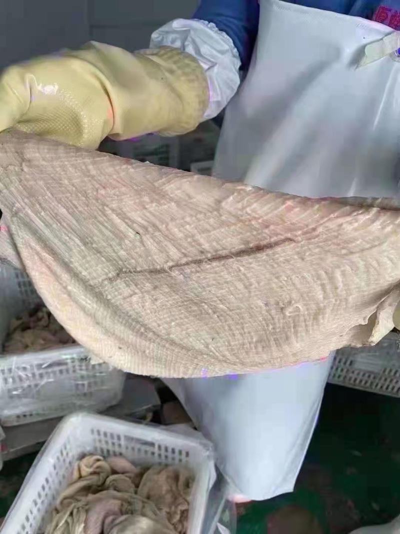百叶底盘