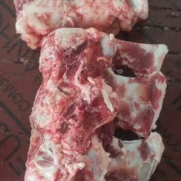 牛脊骨